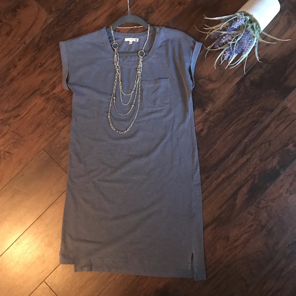 Sundry t-shirt dress